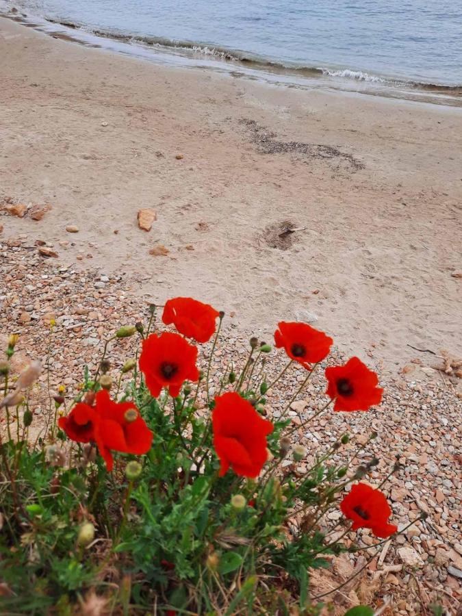New Sea Escape Boutique Apt-Agii Aposto Li Beach Chania  Bagian luar foto