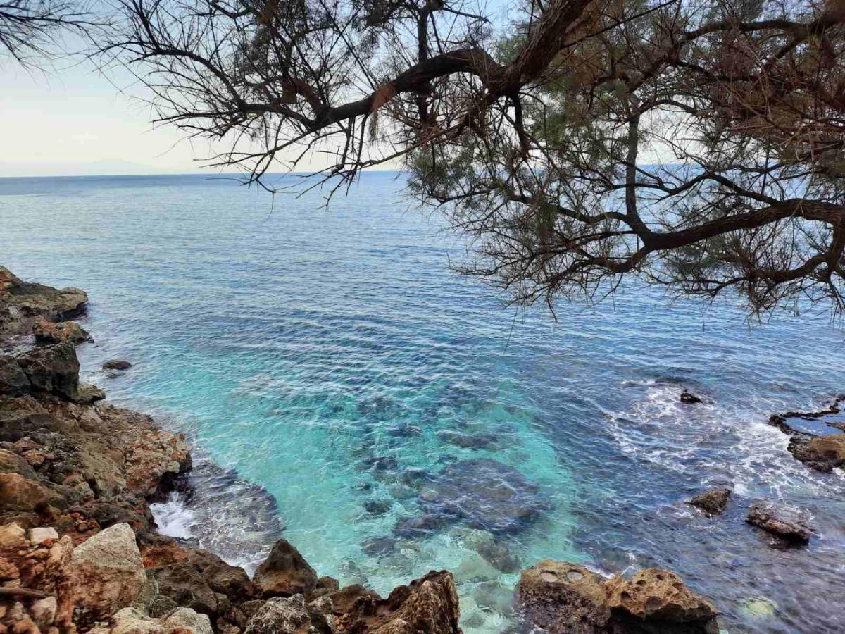 New Sea Escape Boutique Apt-Agii Aposto Li Beach Chania  Bagian luar foto