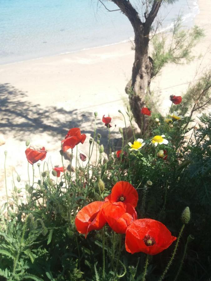 New Sea Escape Boutique Apt-Agii Aposto Li Beach Chania  Bagian luar foto