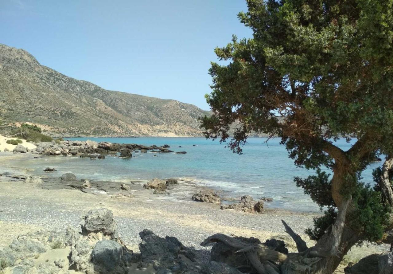 New Sea Escape Boutique Apt-Agii Aposto Li Beach Chania  Bagian luar foto
